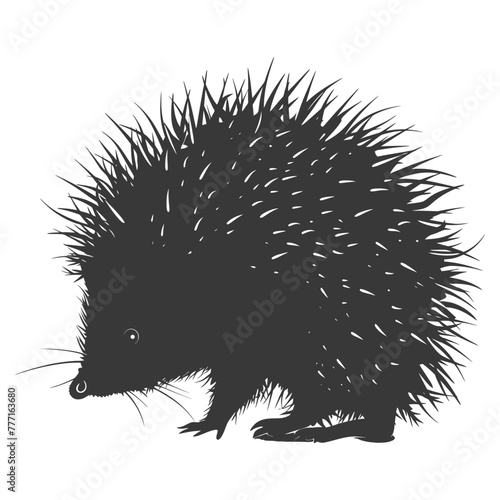 Silhouette Hedgehog animal black color only full body