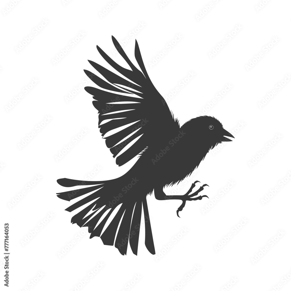 Obraz premium Silhouette House sparrow bird animal fly black color only