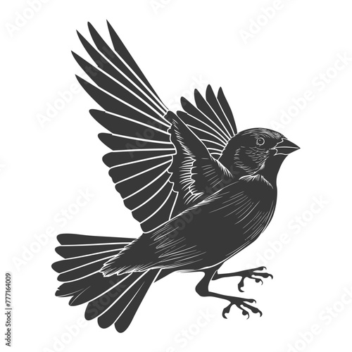 Silhouette House sparrow bird animal fly black color only photo