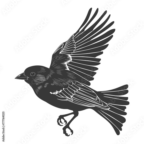 Silhouette House sparrow bird animal fly black color only
