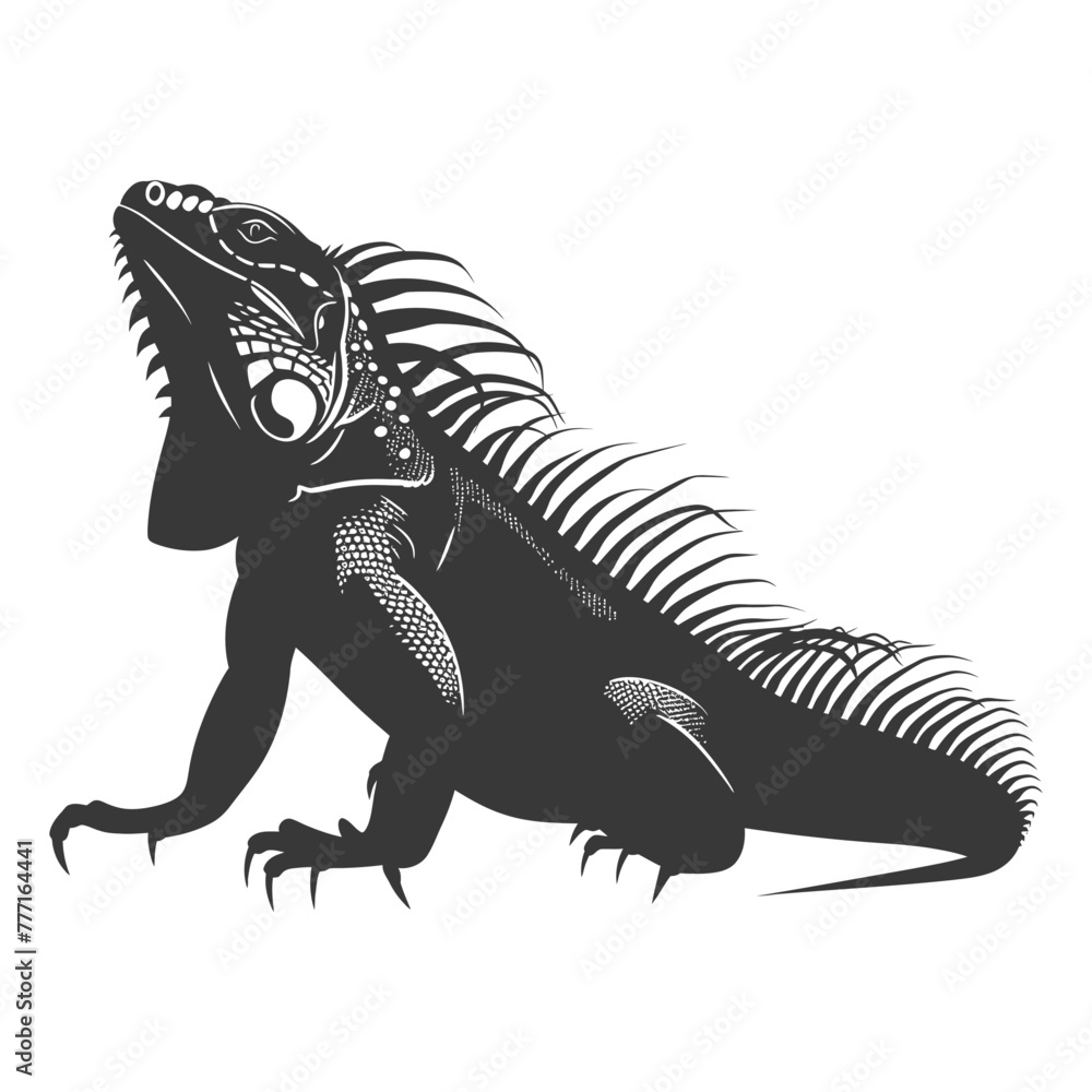 Silhouette Iguana Animal black color only full body Silhouette Iguana Animal black color only full body