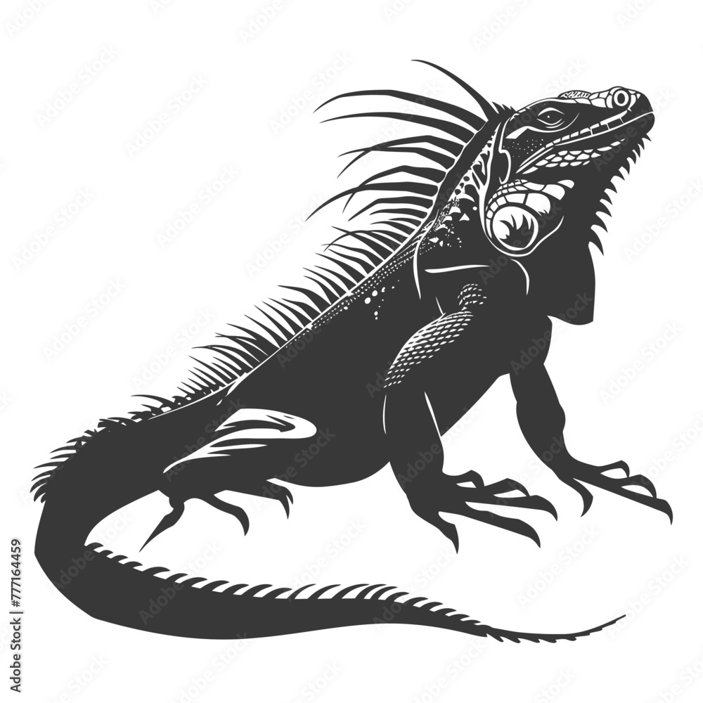 Silhouette Iguana Animal black color only full body Silhouette Iguana Animal black color only full body