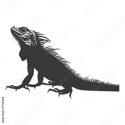 Silhouette Iguana Animal black color only full body