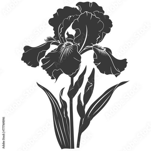 Silhouette iris flower black color only