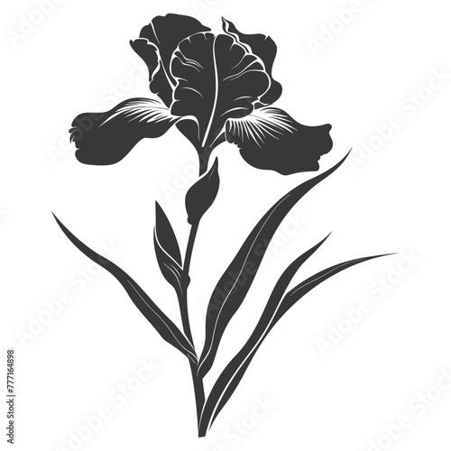 Silhouette iris flower black color only