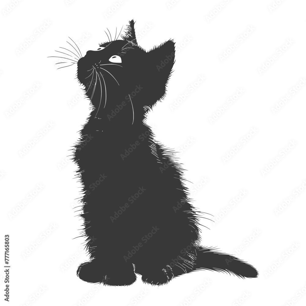 Silhouette kitten cute animal black color only full body