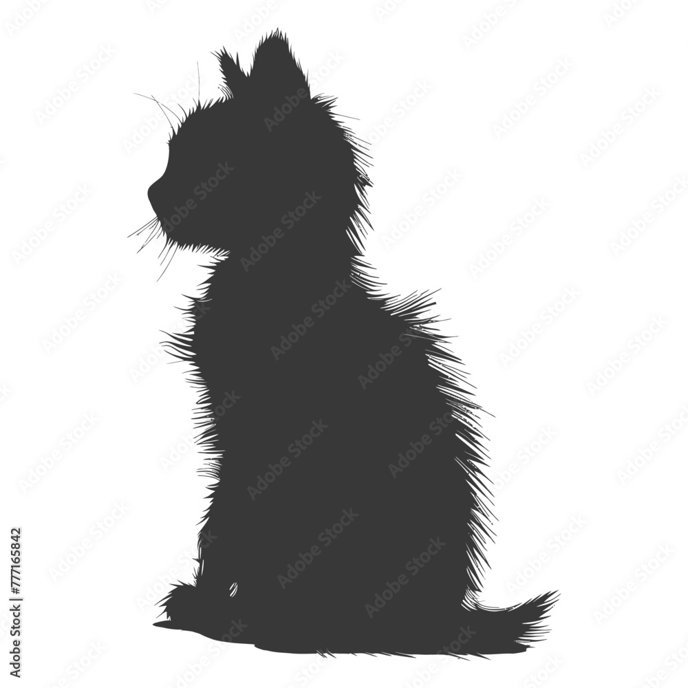 Silhouette kitten cute animal black color only full body