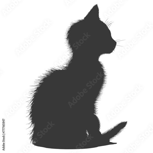 Silhouette kitten cute animal black color only full body