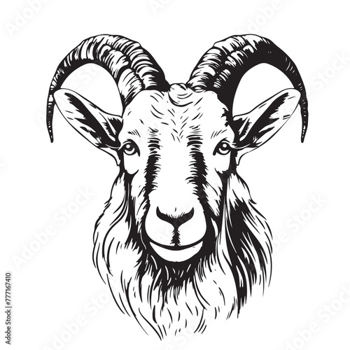 goat head vector black and white sketch