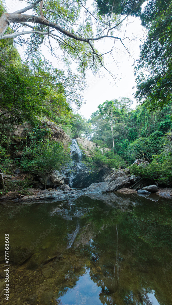 Serene Waterfall and Forest Reflection in Natural Pool Serene Waterfall and Forest Reflection in Natural Pool