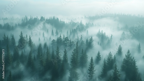 A view of a forest with fog and trees in the background, AI