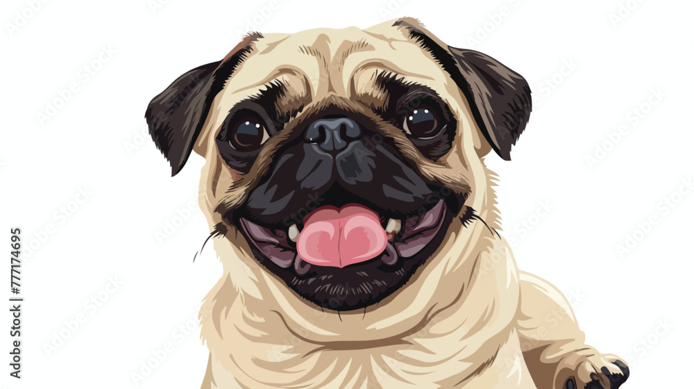 Cute dog breed pug with tongue hanging out isolated on