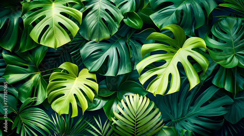 Exotic green leaves pattern, tropical jungle foliage for vibrant nature background