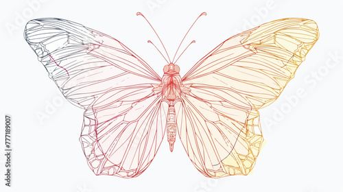 Butterfly line art. Continuous line drawing style