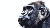Gorilla animal art illustration with white background.