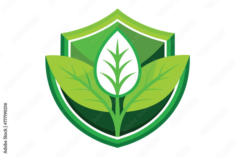 a green plant with leaves on it a green plant with leaves on it