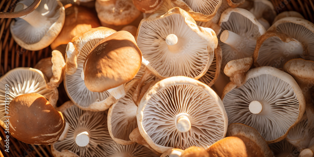 top view close up of a mushroom basket are displayed on the garden сreated with Generative Ai top view close up of a mushroom basket are displayed on the garden сreated with Generative Ai