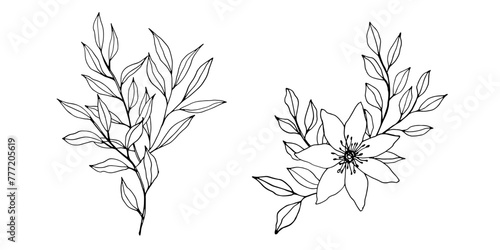 vector contour branch flowers and leaves compositions. Elegant art for decoration. hand drawn monochrome botanical illustration for backgrounds. Template for wedding cards and polygraph, logo, tattoo.