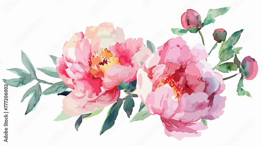 Watercolor pink peony flower. Floral botanical flower.