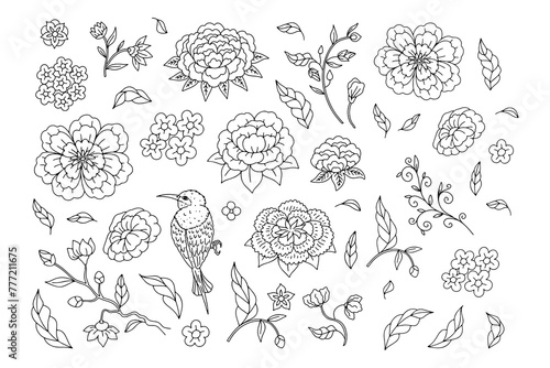 Set of monochrome black and white floral chinoiserie style flowers isolated on white background. Abstract hand drawn botanical clip art elements bundle.