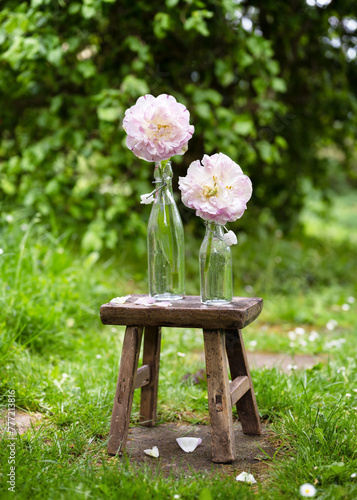 Spring floristic arrangement with white pink double tulips on rustic wooden chair in the cottage garden. Danceline (Tulipa) Garden floristic concept. Soft focus.	