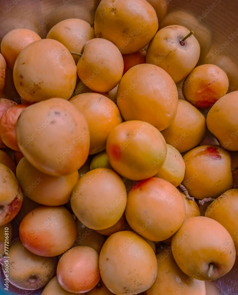 apricots in a market apricots in a market