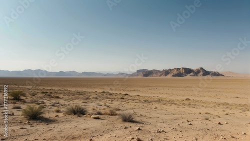 Desert landscape with dry ground and shrubs