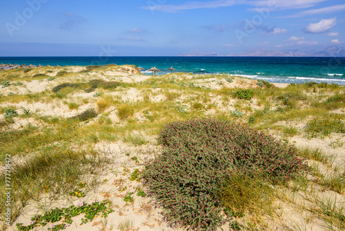 Fototapeta Naklejka Na Ścianę i Meble -  Sand dunes at Marmari beach on the island of Kos. Greece