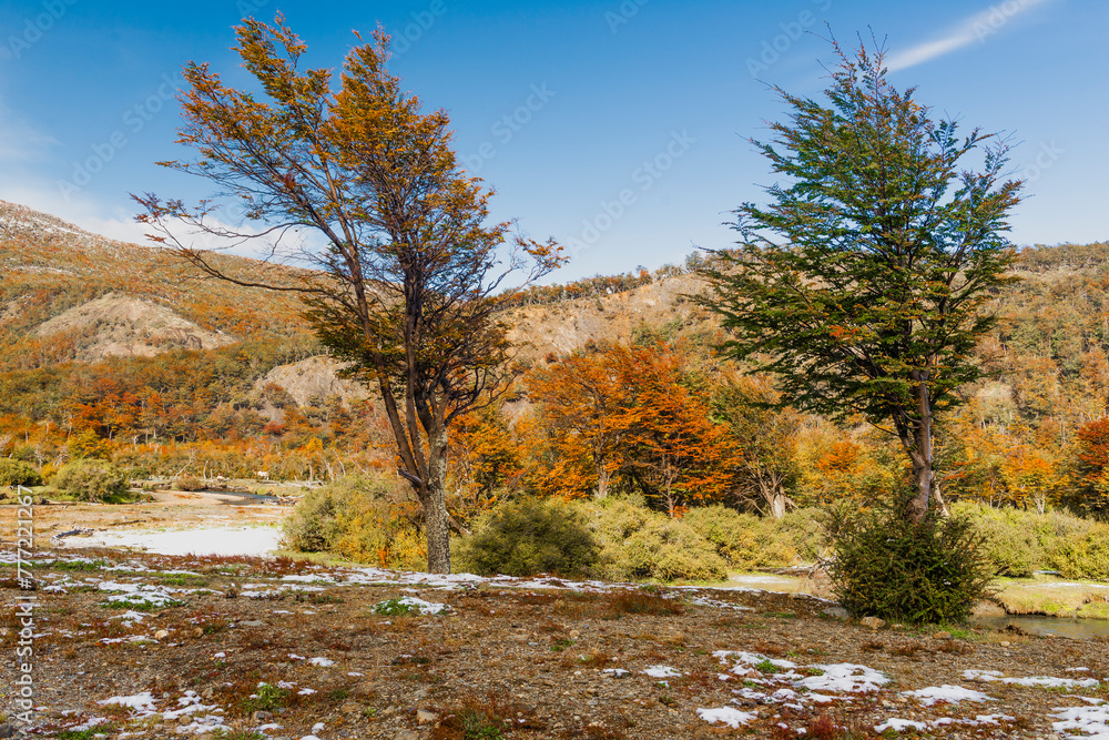 Fototapeta premium Tierra del Fuego National Park, Patagonia, Argentina