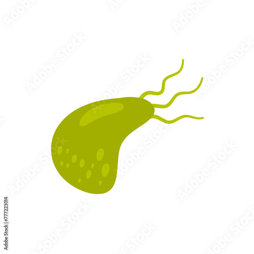 Bacterial Microorganisms