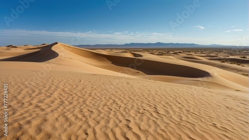 Expansive desert landscape with sand dunes