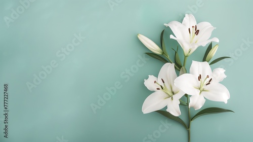 White lily flowers on pale green background. Floral wedding card, celebration, invitation, farewell or grieving greeting card, condolence or loss support, AI generated