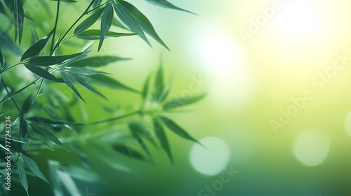 Blurred abstract sunlight background, frame of bright green bamboo leaves isolated on copy space