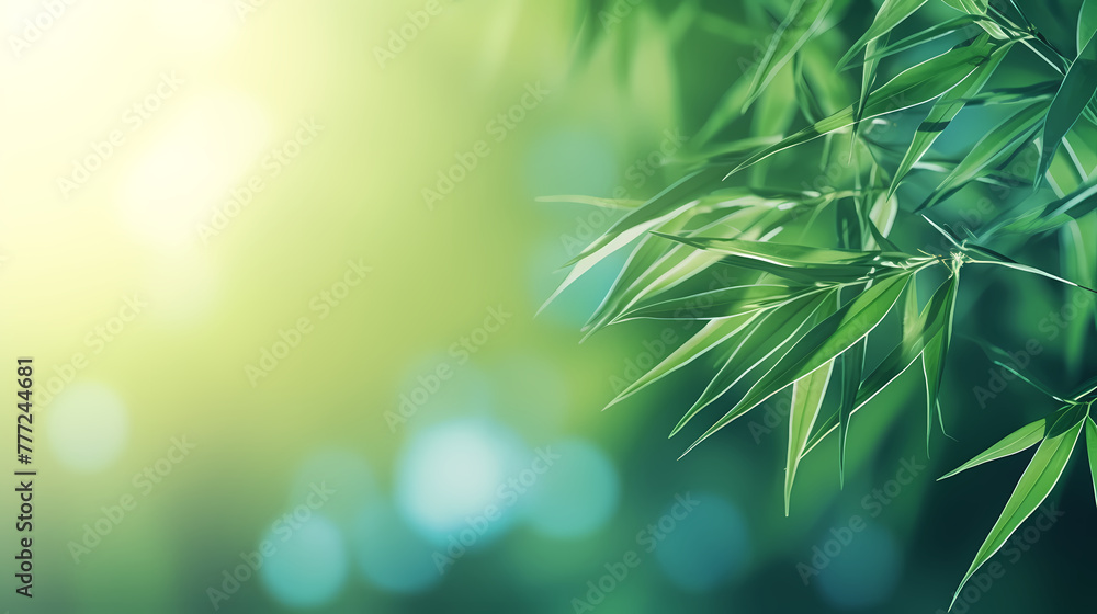 Blurred abstract sunlight background, frame of bright green bamboo leaves isolated on copy space Blurred abstract sunlight background, frame of bright green bamboo leaves isolated on copy space