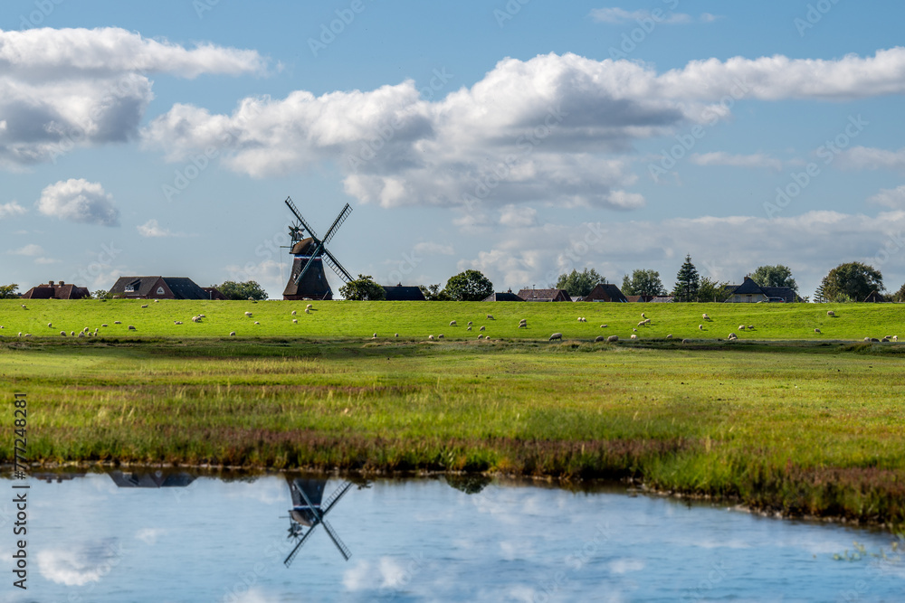 Fototapeta premium Windlühle am Teich