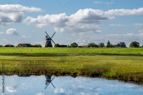 Windlühle am Teich