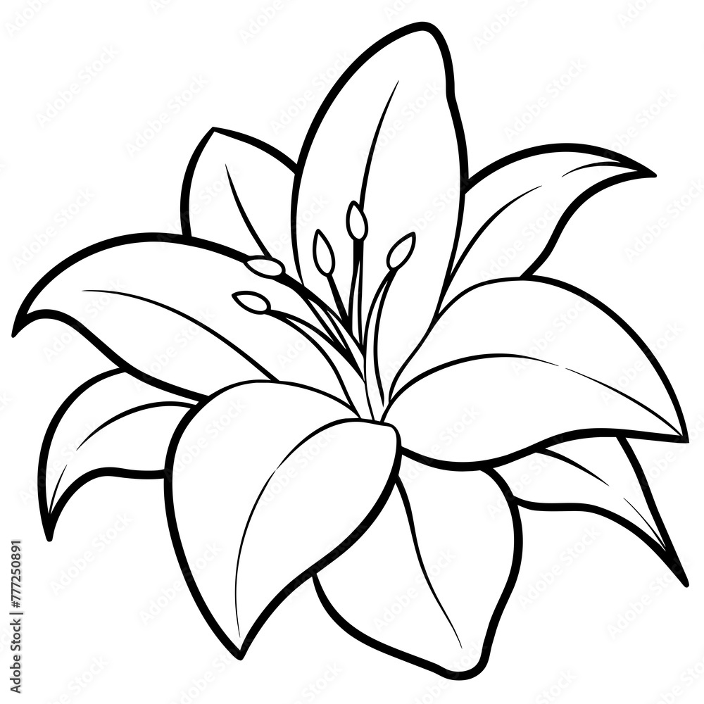 Fototapeta premium white flower - vector illustration