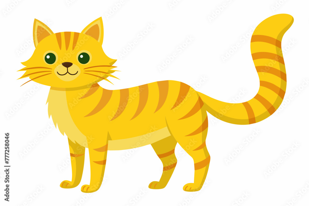 A yellow cat on a white background