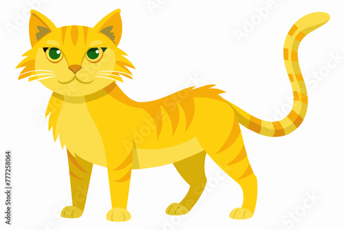 A yellow cat on a white background