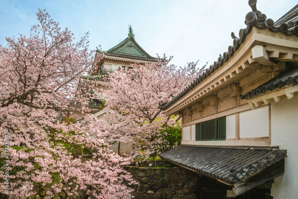 Wakayama Castle, a Japanese castle located in Wakayama city, Wakayama Prefecture, Japan. Wakayama Castle, a Japanese castle located in Wakayama city, Wakayama Prefecture, Japan.