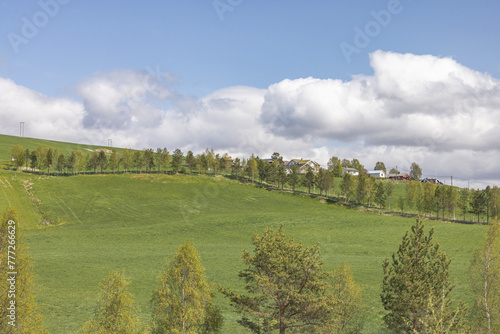 White clouds over agricultural area in Tynset,Tynset is a municipality in Østerdalen in Innlandet county. ,Norway photo