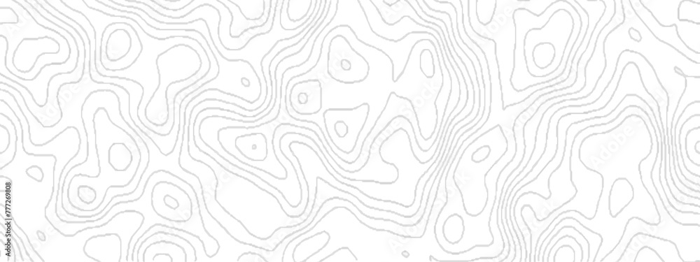 Abstract topographic contours map background with geometric stripes, abstract Geographic mountain relief, White wave paper curved reliefs abstract background with lines pattern. Abstract topographic contours map background with geometric stripes, abstract Geographic mountain relief, White wave paper curved reliefs abstract background with lines pattern.