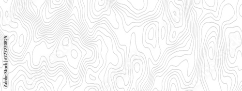 White wave paper curved reliefs abstract geometric topography, Abstract topographic contours map background geography scheme, Black and white geometric lines seamless Topographic map.