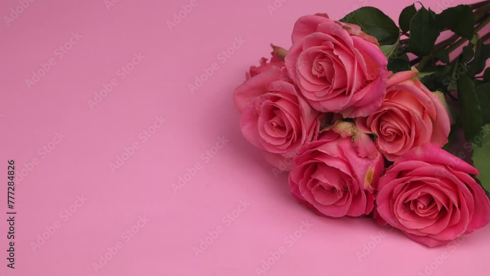 A bouquet of pink roses is placed on a pink background and put away. Close-Up of Pink Roses on Pastel Background A bouquet of pink roses is placed on a pink background and put away. Close-Up of Pink Roses on Pastel Background
