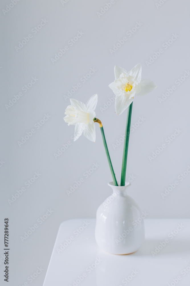 Beautiful flowers of white daffodil (narcissus) in a vase on a light grey background.