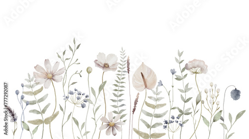 Watercolor floral background. Hand painted wildflowers, meadow flowers, isolated on white background