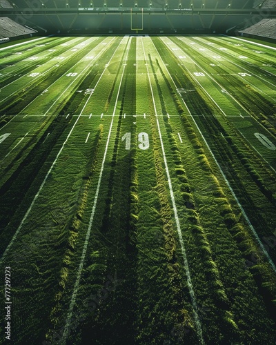 A serene landscape of lush green fields stretching across an American football stadium