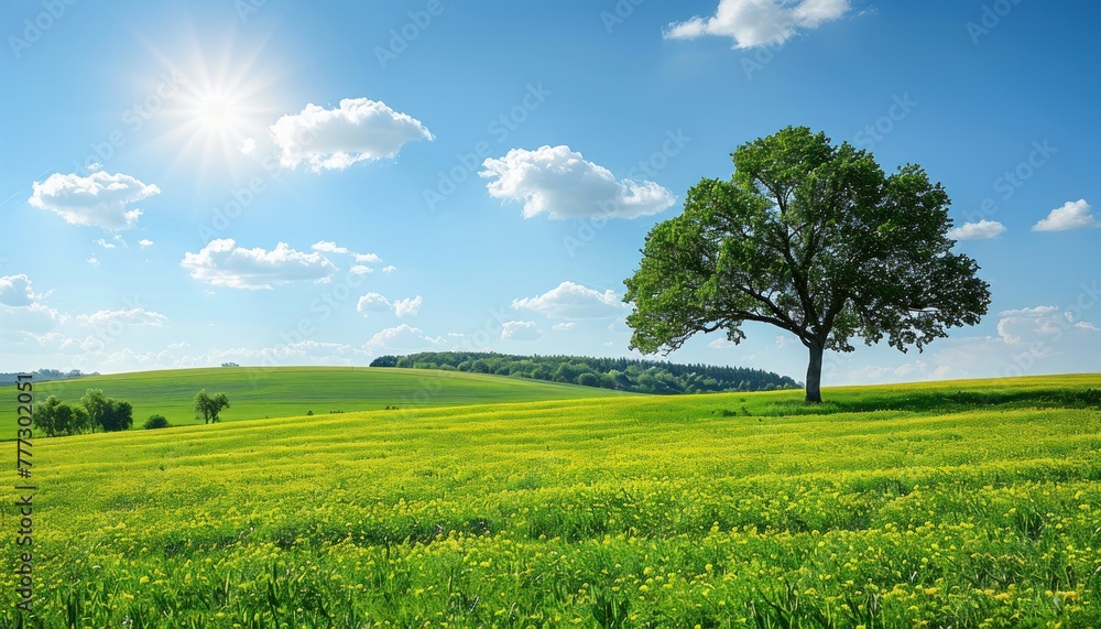 A tree stands in the center of a vast green field