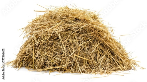Hay Pile on White Background. Dry Grass Stack or Hayrick with Thatch. Agricultural Autumn Concept with Barley Crop in Background