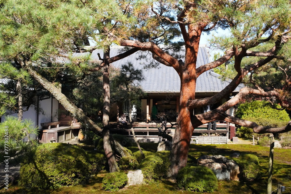 京都の東山区に鎮座する青蓮院門跡